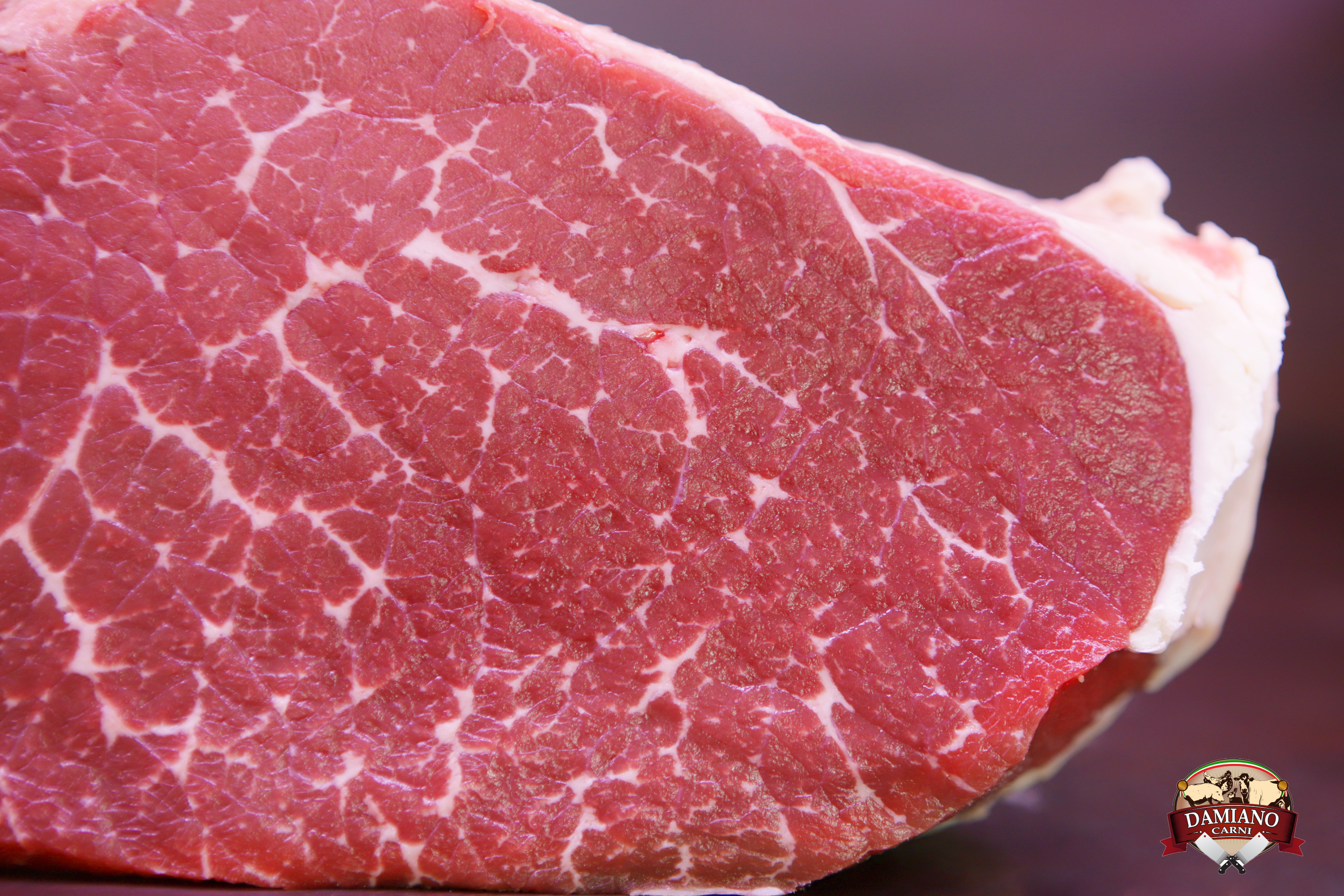 Fesa Selezione Damiano - immagine 2