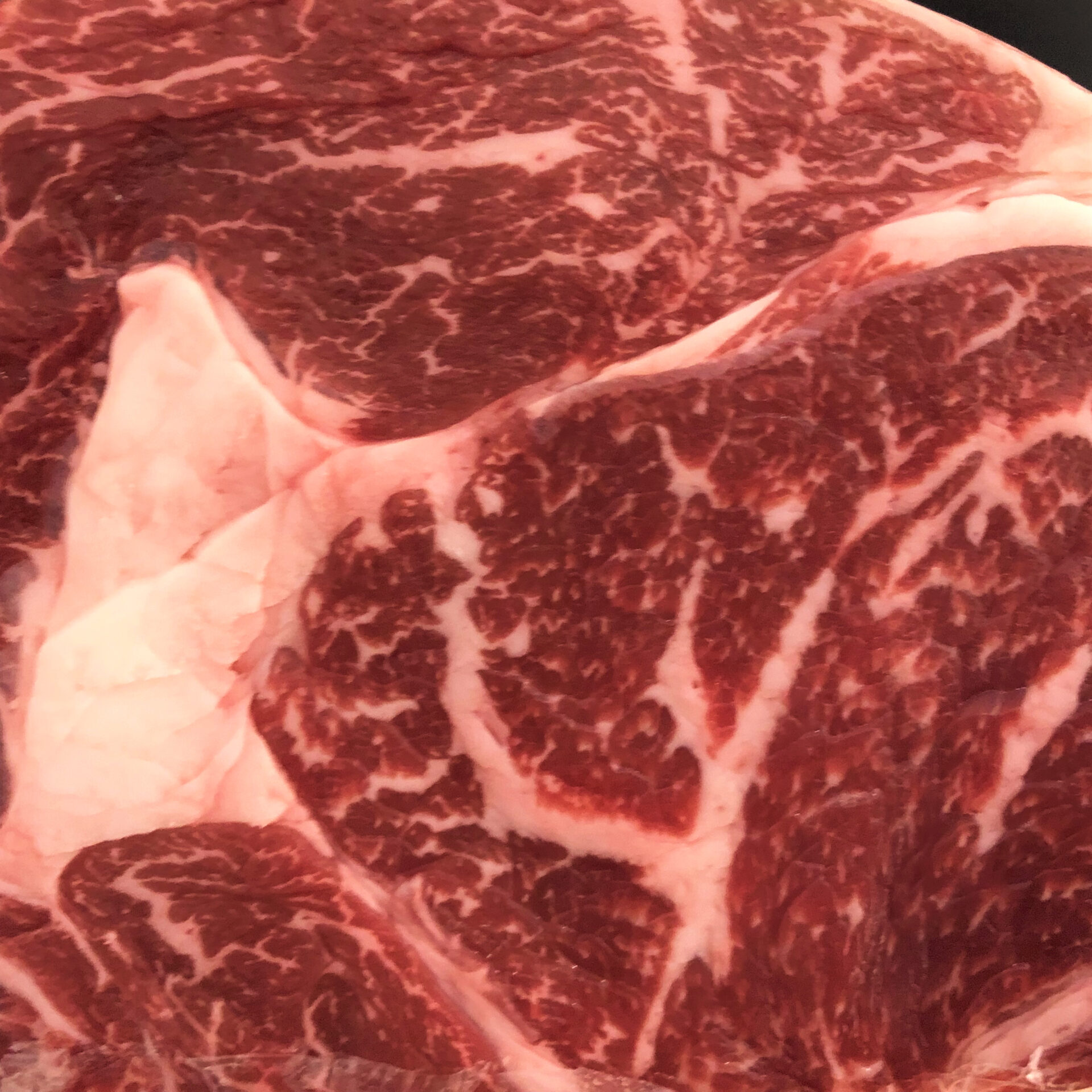 Chuck Roll Creekstone Black Angus USA - immagine 2